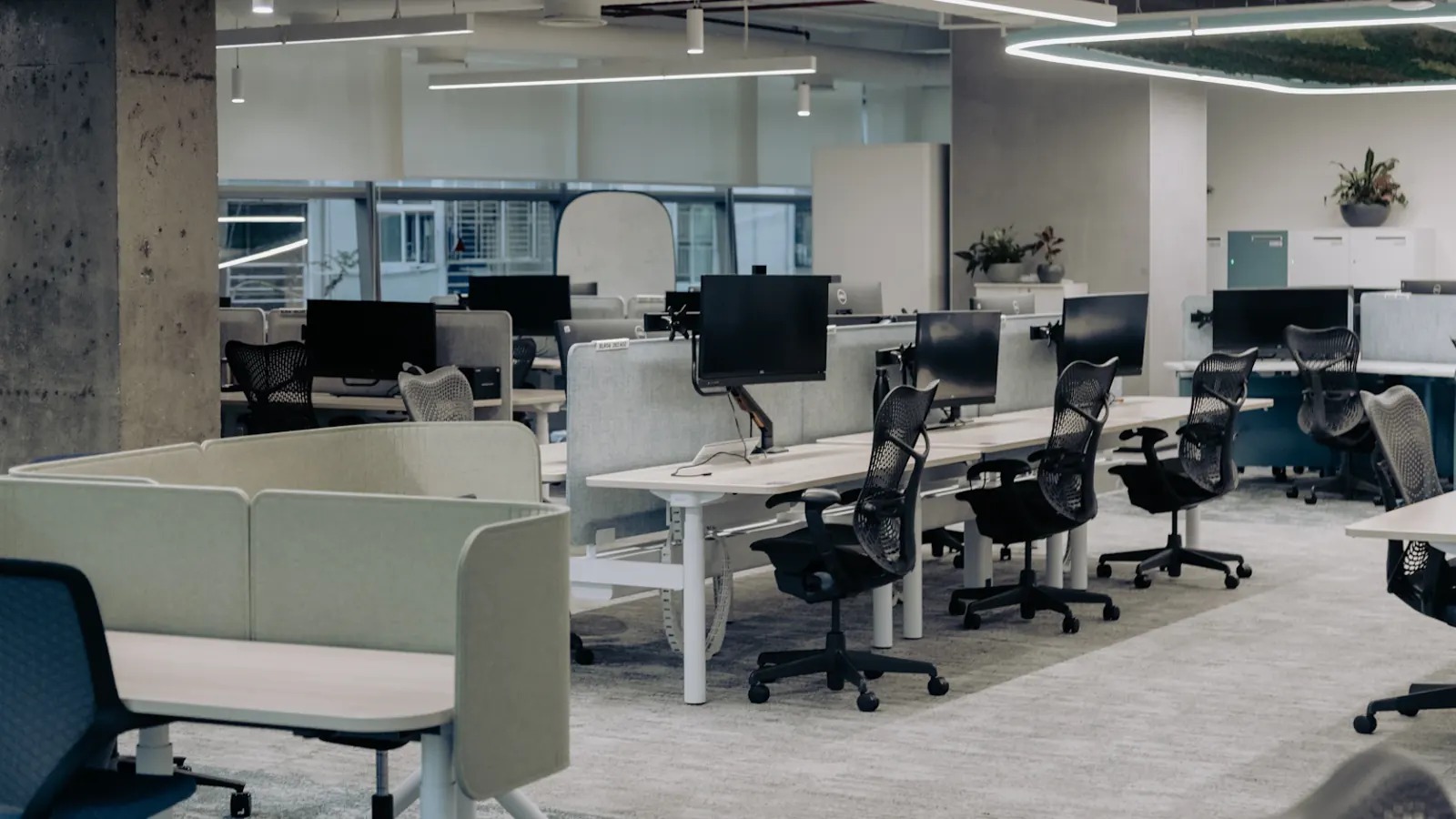 A bright open-plan office with rows of desks, monitors and chairs ready for use